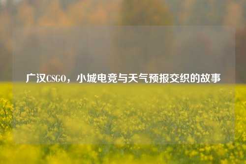 广汉CSGO，小城电竞与天气预报交织的故事