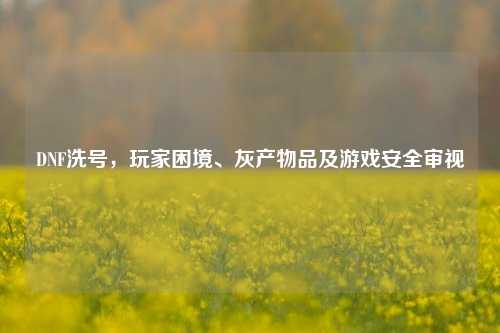 DNF洗号，玩家困境、灰产物品及游戏安全审视