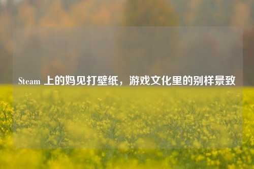 Steam 上的妈见打壁纸，游戏文化里的别样景致
