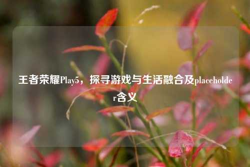 王者荣耀Play5,探寻游戏与生活融合及placeholder含义