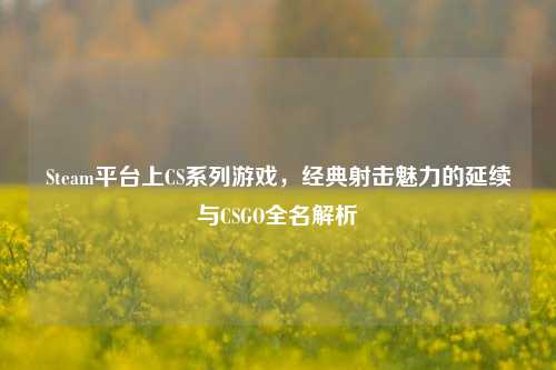 Steam平台上CS系列游戏，经典射击魅力的延续与CSGO全名解析
