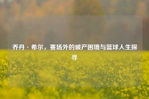 乔丹·希尔,赛场外的破产困境与篮球人生探寻