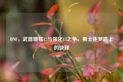 DNF,武器增幅12与强化13之争,勇士逐梦路上的抉择