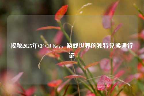 揭秘2025年CF CD Key，游戏世界的独特兑换通行证
