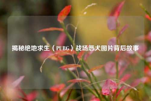 揭秘绝地求生（PUBG）战场恶犬图片背后故事