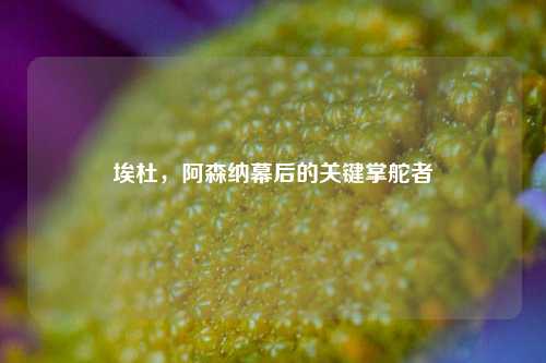 埃杜，阿森纳幕后的关键掌舵者