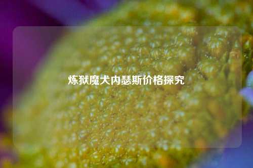 炼狱魔犬内瑟斯价格探究