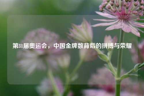 第31届奥运会，中国金牌数背后的拼搏与荣耀