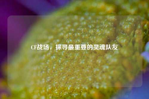 CF战场,探寻最重要的灵魂队友