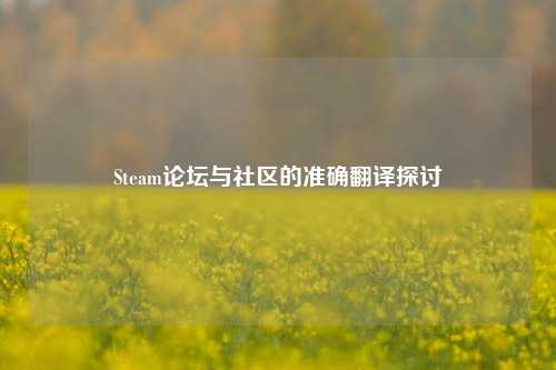 Steam论坛与社区的准确翻译探讨