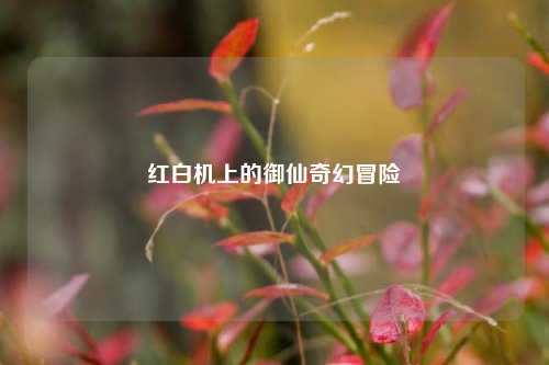 红白机上的御仙奇幻冒险