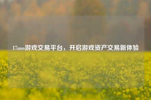 17uoo游戏交易平台，开启游戏资产交易新体验
