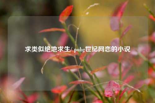 求类似绝地求生/ pubg世纪网恋的小说