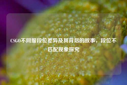 CSGO不同服段位差异及其背后的故事，段位不匹配现象探究