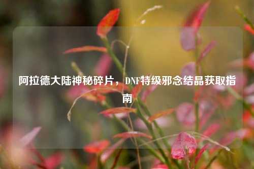 阿拉德大陆神秘碎片，DNF特级邪念结晶获取指南