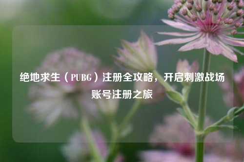 绝地求生（PUBG）注册全攻略，开启刺激战场账号注册之旅