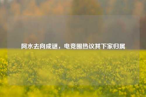 阿水去向成谜，电竞圈热议其下家归属