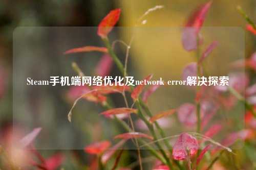 Steam手机端网络优化及network error解决探索