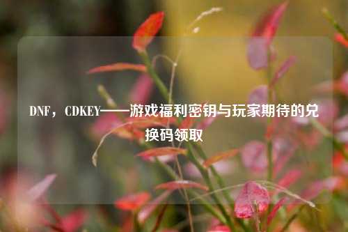 DNF，CDKEY——游戏福利密钥与玩家期待的兑换码领取