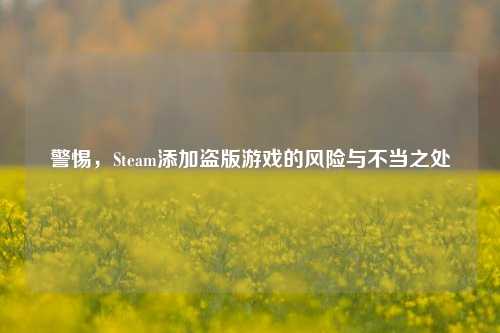 警惕，Steam添加盗版游戏的风险与不当之处