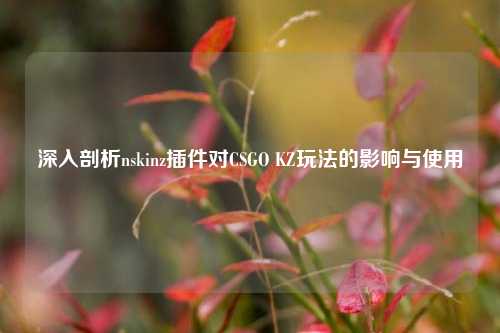 深入剖析nskinz插件对CSGO KZ玩法的影响与使用