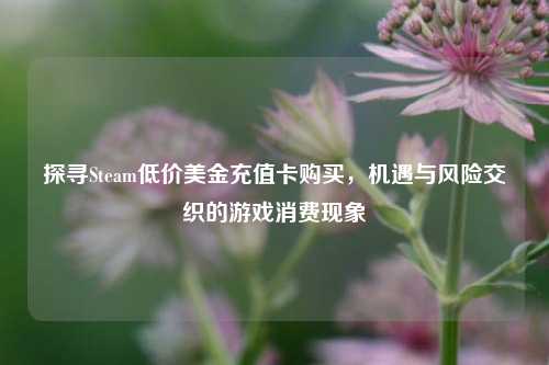 探寻Steam低价美金充值卡购买,机遇与风险交织的游戏消费现象