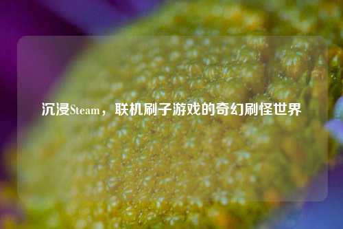 沉浸Steam,联机刷子游戏的奇幻刷怪世界