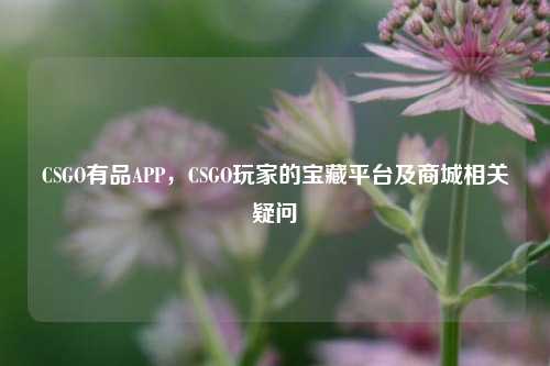 CSGO有品APP，CSGO玩家的宝藏平台及商城相关疑问