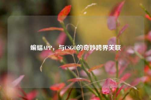 蝙蝠APP，与CSGO的奇妙跨界关联