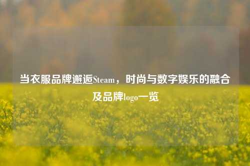 当衣服品牌邂逅Steam，时尚与数字娱乐的融合及品牌logo一览