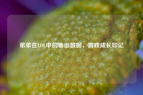 弟弟在LOL中的输出数据,游戏成长印记