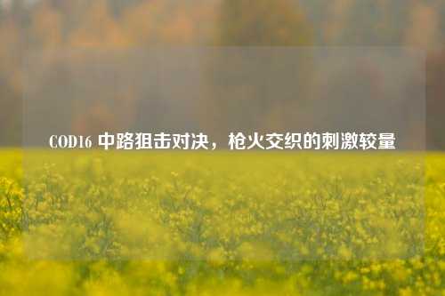 COD16 中路狙击对决，枪火交织的刺激较量