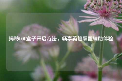 揭秘LOL盒子开启方法，畅享英雄联盟辅助体验