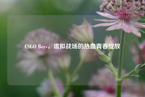 CSGO Boys，虚拟战场的热血青春绽放