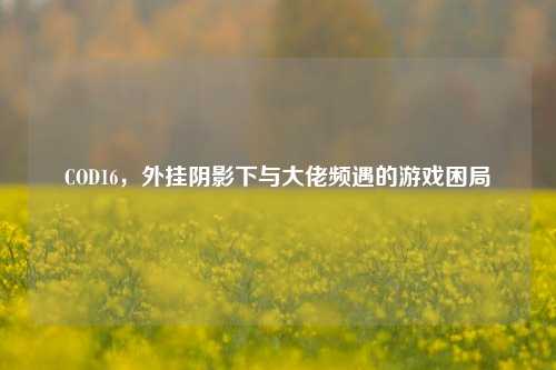 COD16，外挂阴影下与大佬频遇的游戏困局