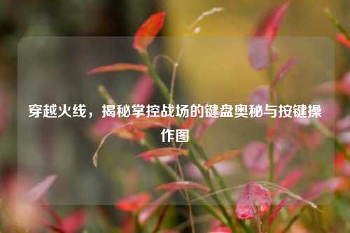 穿越火线,揭秘掌控战场的键盘奥秘与按键操作图