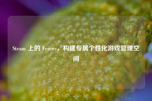 Steam 上的 Fences，构建专属个性化游戏管理空间