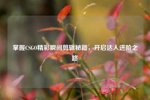 掌握CSGO精彩瞬间剪辑秘籍,开启达人进阶之路