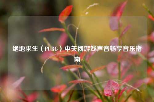 绝地求生（PUBG）中关闭游戏声音畅享音乐指南