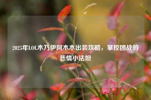 2025年LOL木乃伊阿木木出装攻略，掌控团战的悲情小法坦