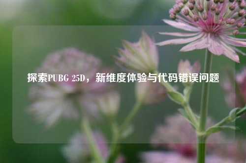 探索PUBG 25D,新维度体验与代码错误问题