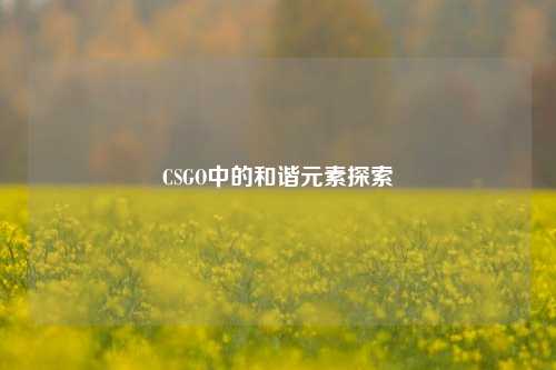CSGO中的和谐元素探索