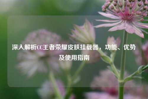 深入解析CC王者荣耀皮肤挂载器，功能、优势及使用指南
