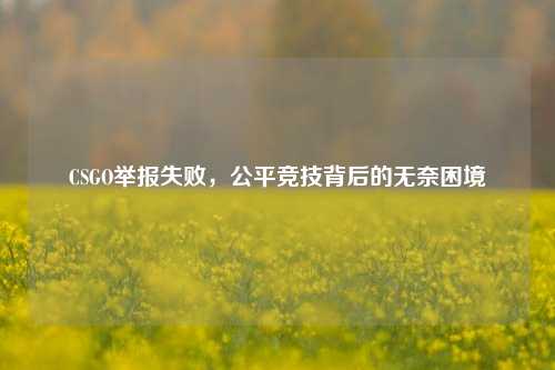 CSGO举报失败，公平竞技背后的无奈困境