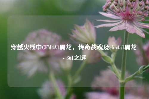 穿越火线中CFM4A1黑龙,传奇战魂及cfm4a1黑龙 - 361之谜