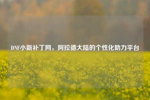 DNF小新补丁网，阿拉德大陆的个性化助力平台