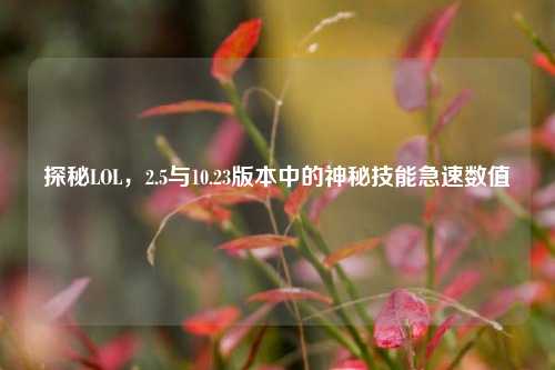 探秘LOL，2.5与10.23版本中的神秘技能急速数值