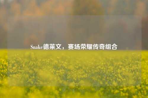 Snake德莱文,赛场荣耀传奇组合