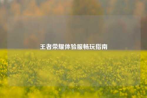 王者荣耀体验服畅玩指南