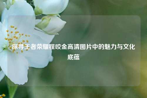 探寻王者荣耀程咬金高清图片中的魅力与文化底蕴